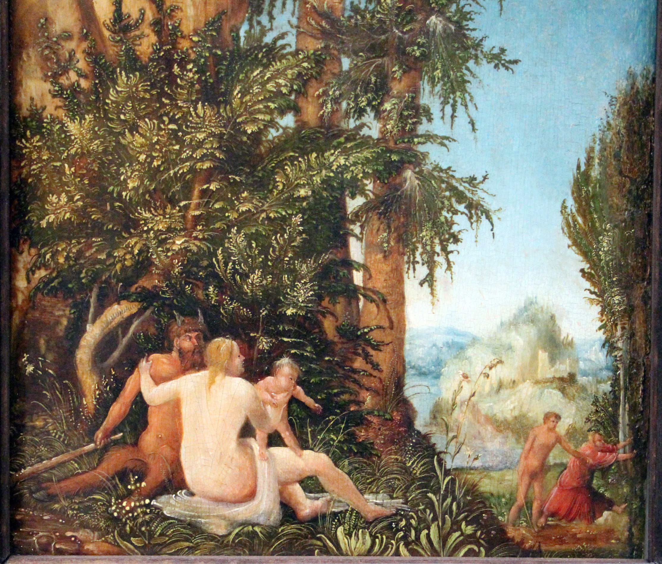 Satyr family